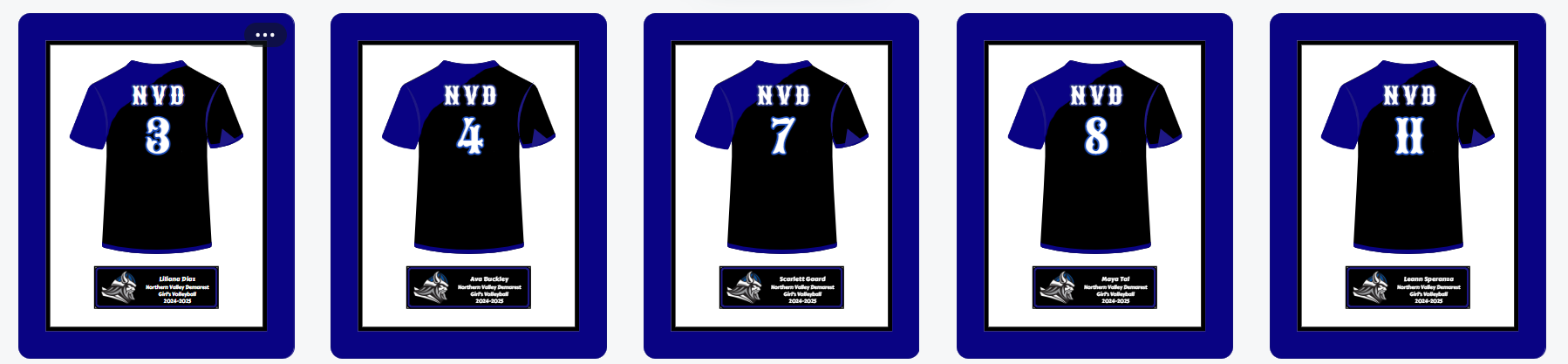 5 frames  jersey prints -Northern Valley Demarest  Girl's Volleyball