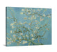 Almond Blossom by Vincent Van Gogh Framed art - Modern Memory Design Picture frames - New Jersey Frame shop custom framing