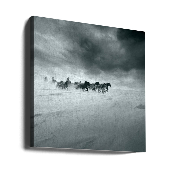 Snowy field Square Canvas Art