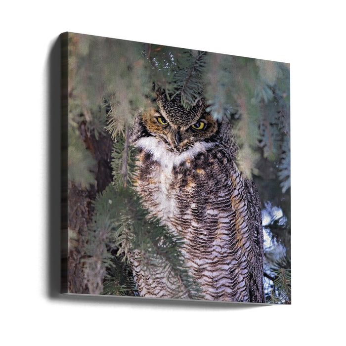 I Am Watching You Square Canvas Art Print