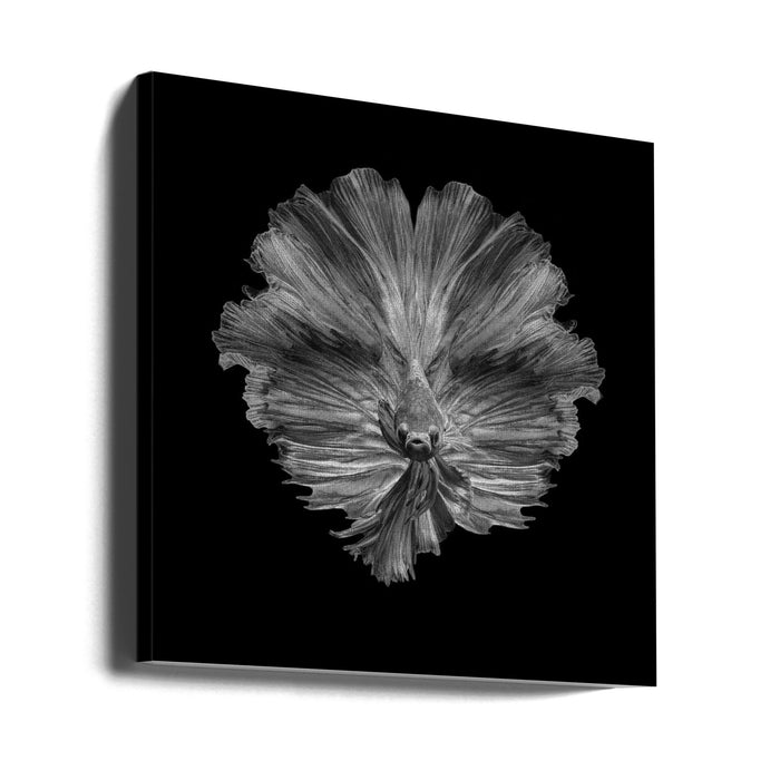 The Flower of tail Square Canvas Art Print