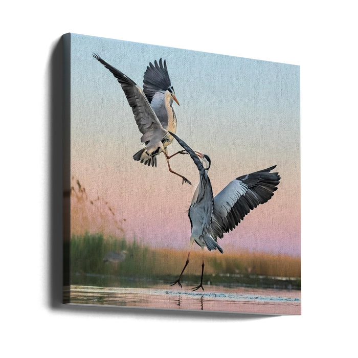 Fighting Square Canvas Art