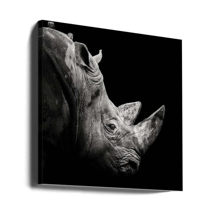 Rhino Square Canvas Art Print