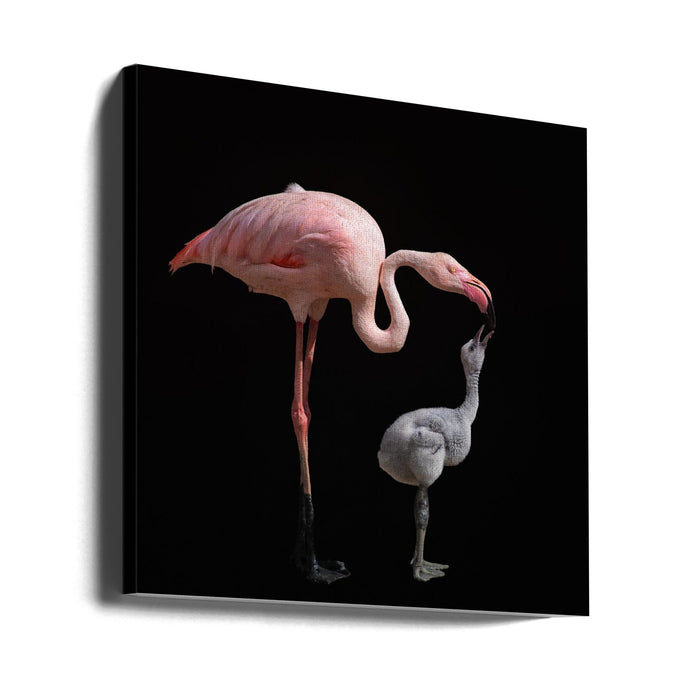 Become pink Square Canvas Art