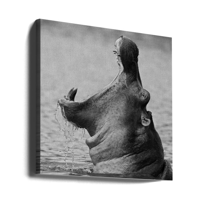 The Mouth Square Canvas Art