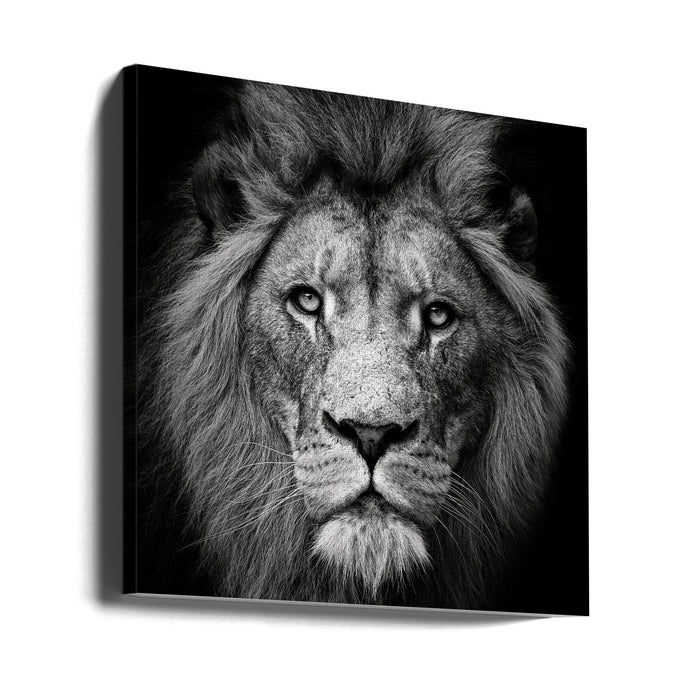 Stare Me Down #3 Square Canvas Art Print