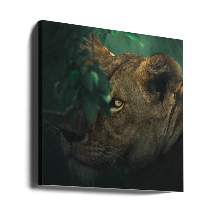 Eye Contact Square Canvas Art