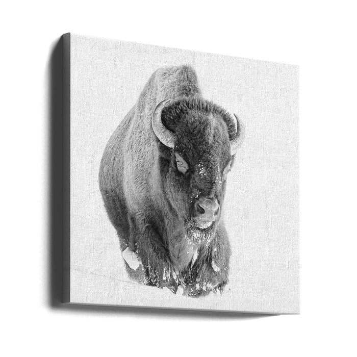 Determined Square Canvas Art