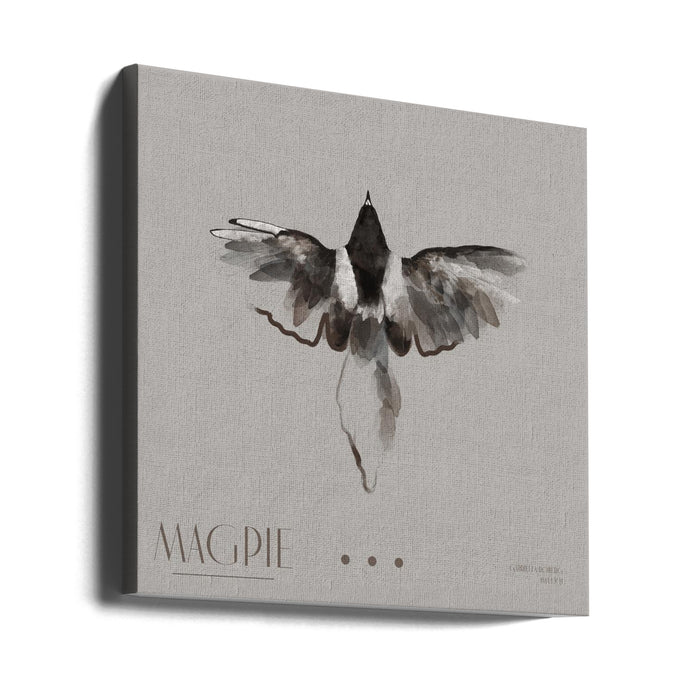 Magpie II Square Canvas Art