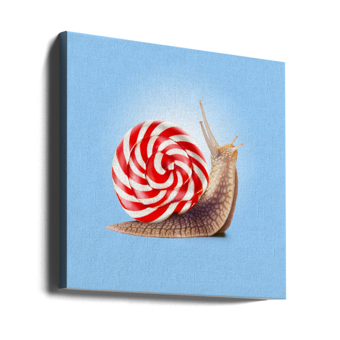 Snail Candy Square Canvas Art