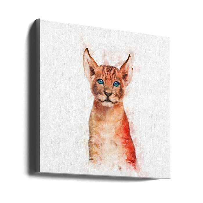 Baby Lion Square Canvas Art Print