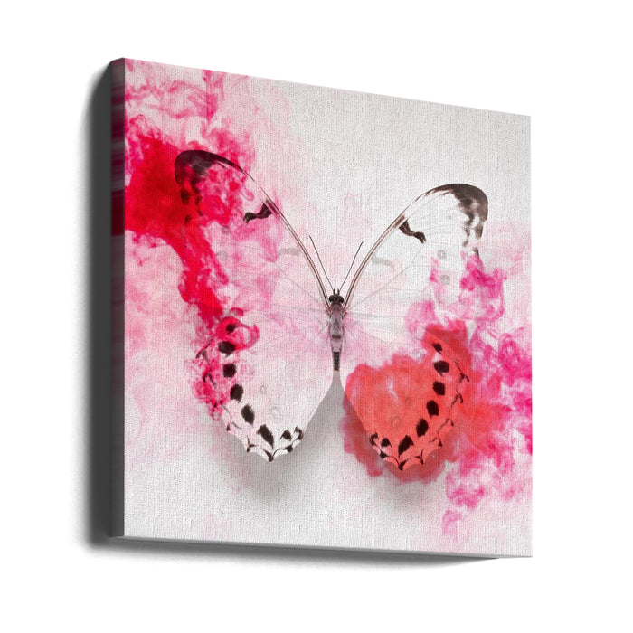 White Morpho Butterfly With Crimson Ink Square Canvas Art Print