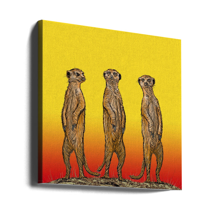 Meerkat Gang at Sunset Square Canvas Art Print