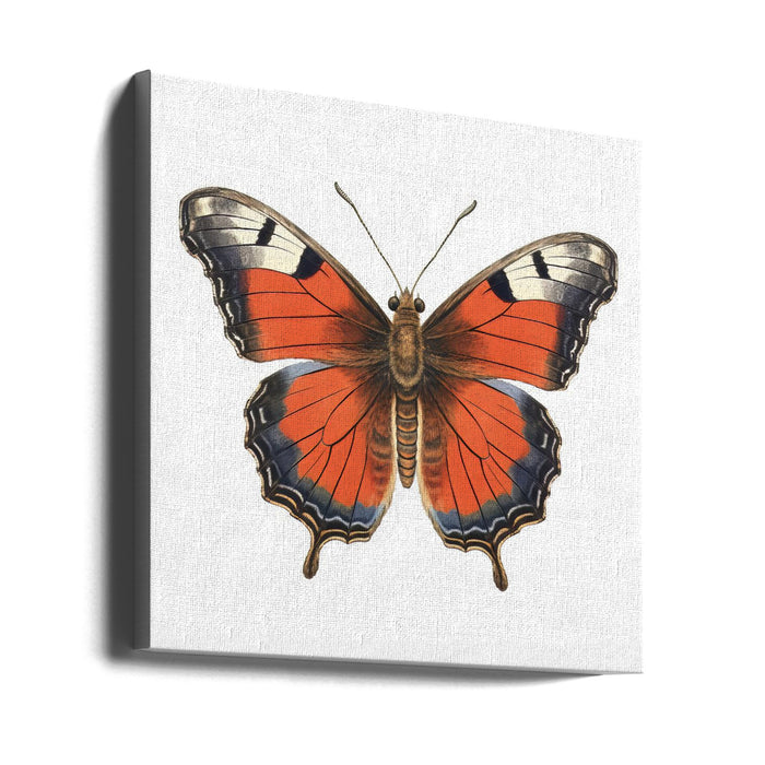 Butterfly 49 Square Canvas Art