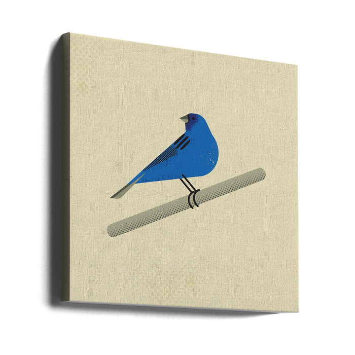 Indigo Bunting Square Canvas Art