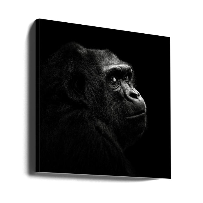 Gorilla Square Canvas Art Print