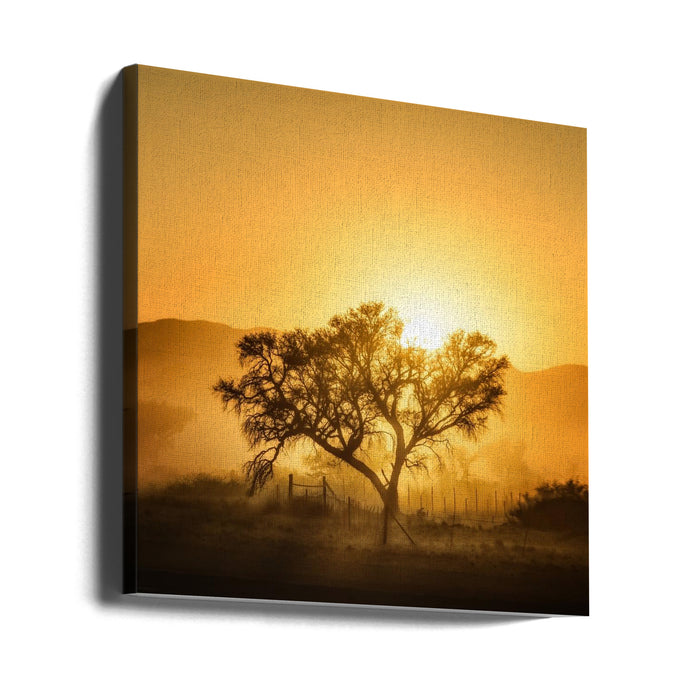 Golden Sunrise Square Canvas Art