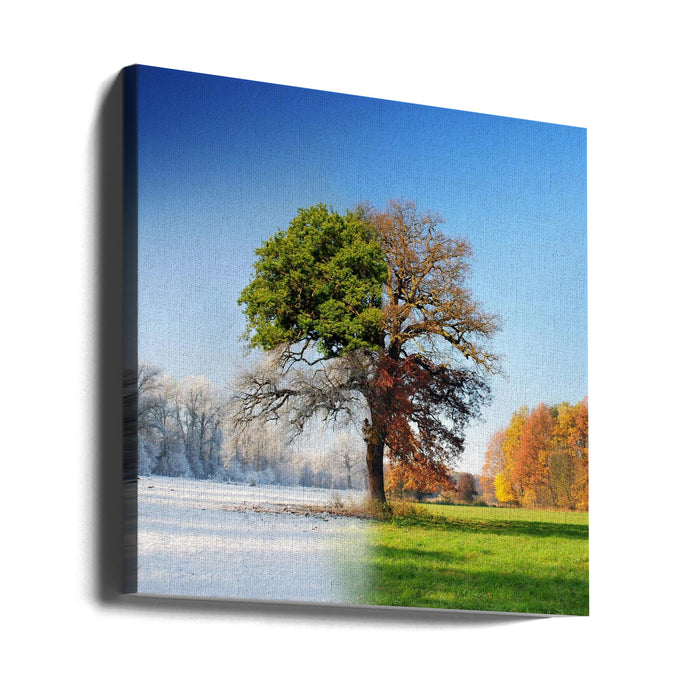 4 seasons Square Canvas Art Print