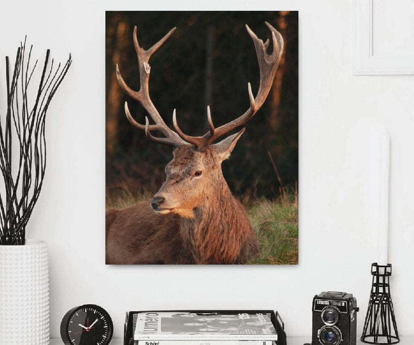 Deer Antlers Art Animal Canvas Print Wall Art for wall decor Deco