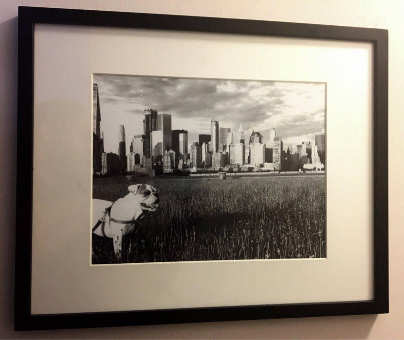 New york city English bulldog Wall art poster print frame artwork