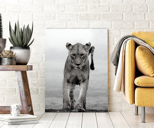 Lion Canvas Print Art Décor wall art