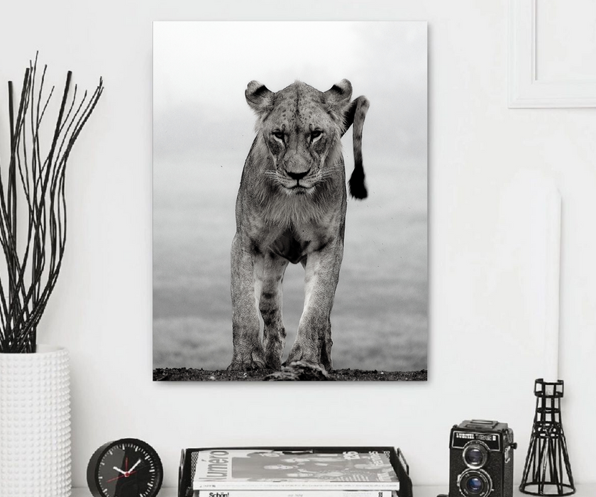 Lion Canvas Print Art Décor wall art