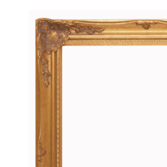 Ornate Antique Gold Frame - Modern Memory Design Picture frames - New Jersey Frame shop custom framing