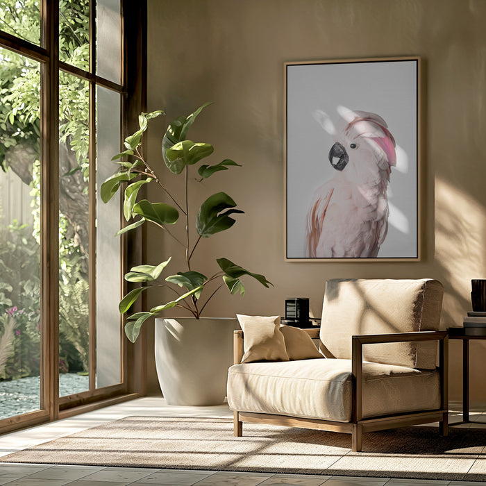 Pink Cockatoo Framed Art Modern Wall Decor