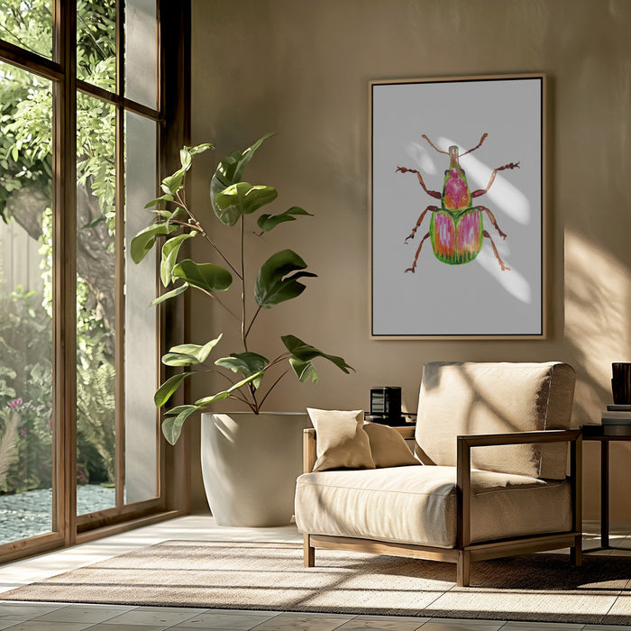 Apricot weevil or Epirhynchites auratus Framed Art Modern Wall Decor