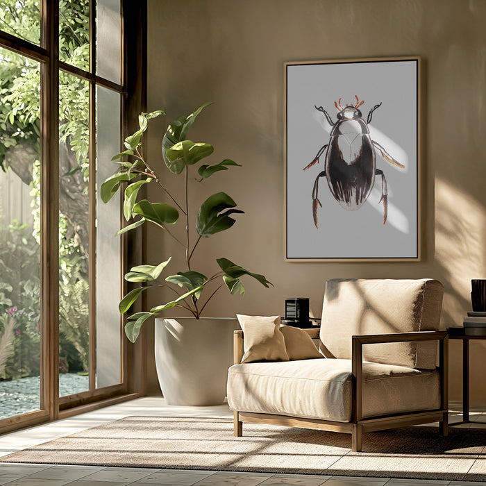 Water scavenger beetle or Hydrophilus aterrimus Framed Art Modern Wall Decor