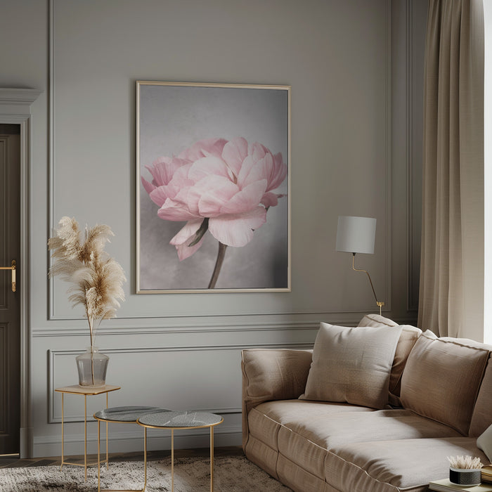 Peony Framed Art Modern Wall Decor