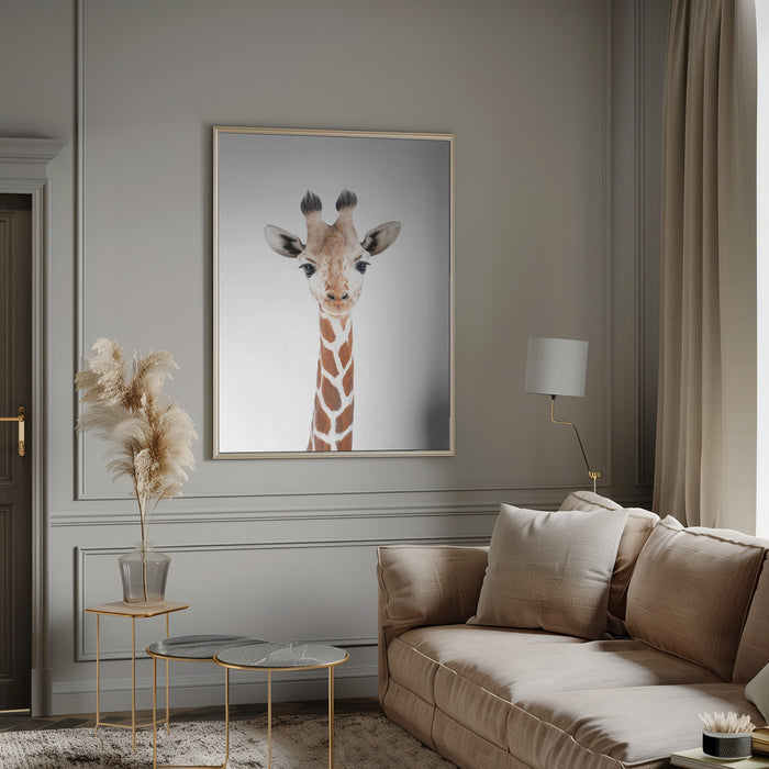 Baby Giraffe Framed Art Modern Wall Decor