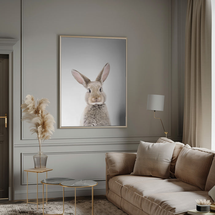 Baby Rabbit Framed Art Modern Wall Decor