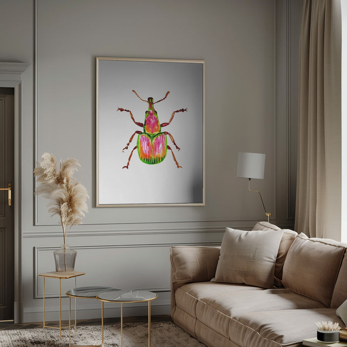 Apricot weevil or Epirhynchites auratus Framed Art Modern Wall Decor