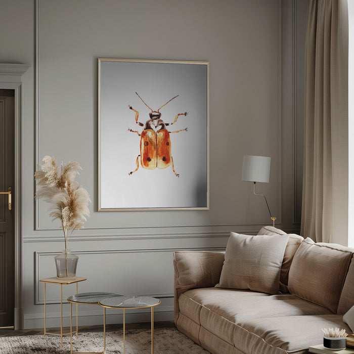 Another leaf beetle the Cryptocephalus cordiger Framed Art Modern Wall Decor