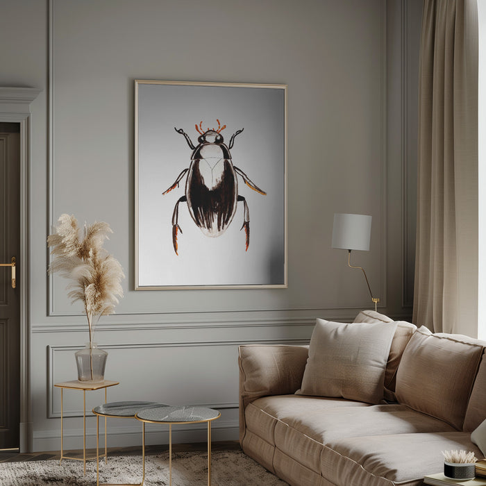 Water scavenger beetle or Hydrophilus aterrimus Framed Art Modern Wall Decor