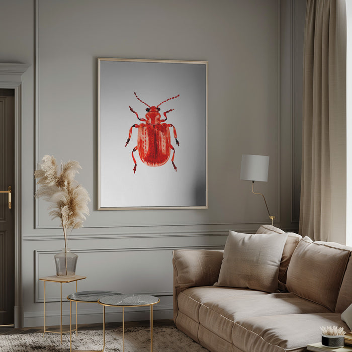 Onion beetle or Lilioceris merdigera Framed Art Modern Wall Decor