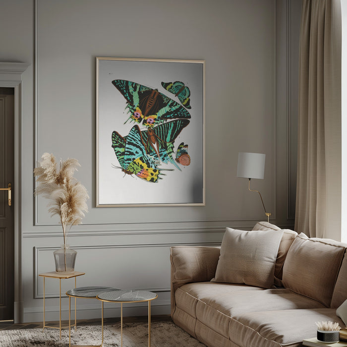 Butterflies 3 Framed Art Wall Decor