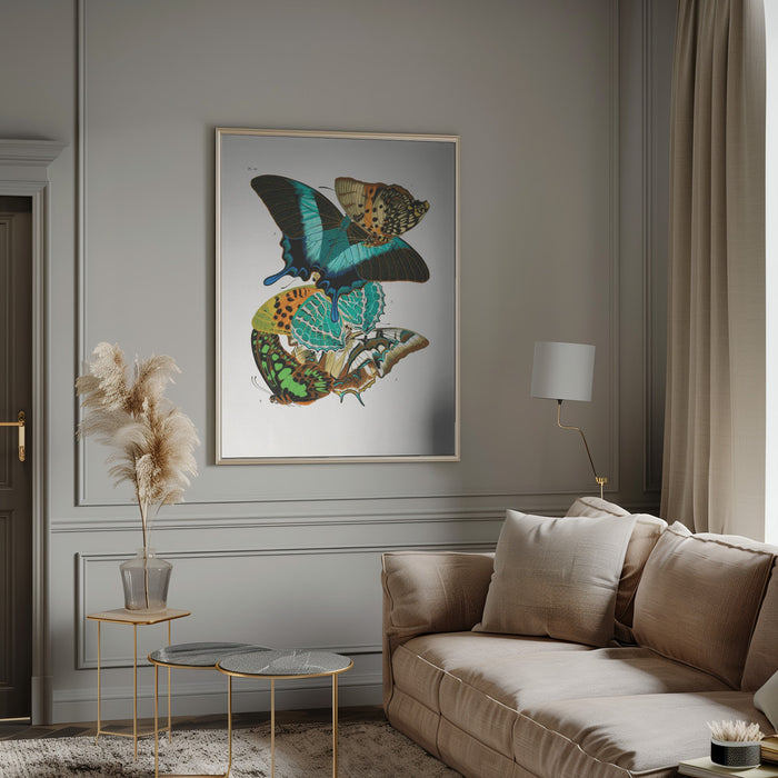 Butterflies 5 Framed Art Modern Wall Decor