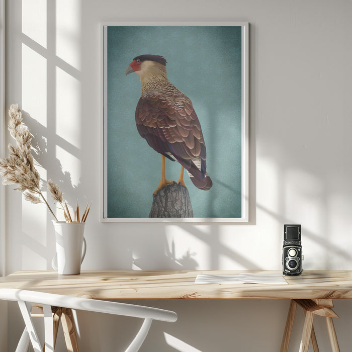 Carancho Framed Art Wall Decor