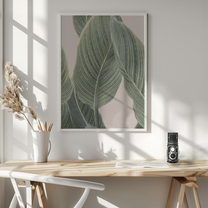 Calla Leaf Framed Art Wall Decor