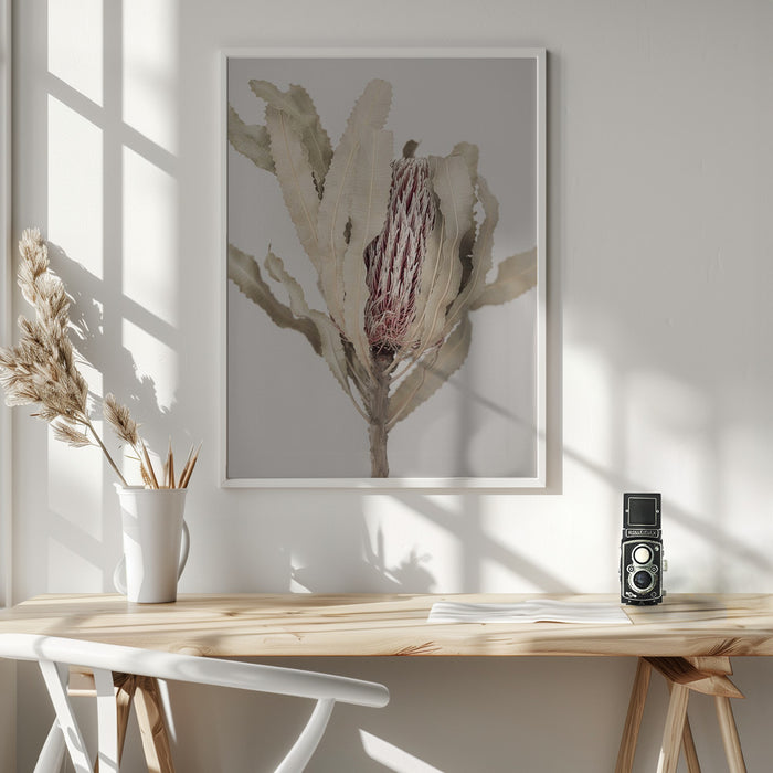 Banksia Framed Art Wall Decor