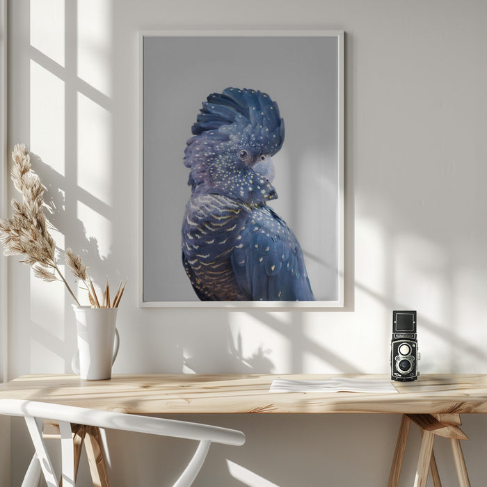 Black Cockatoo Framed Art Wall Decor