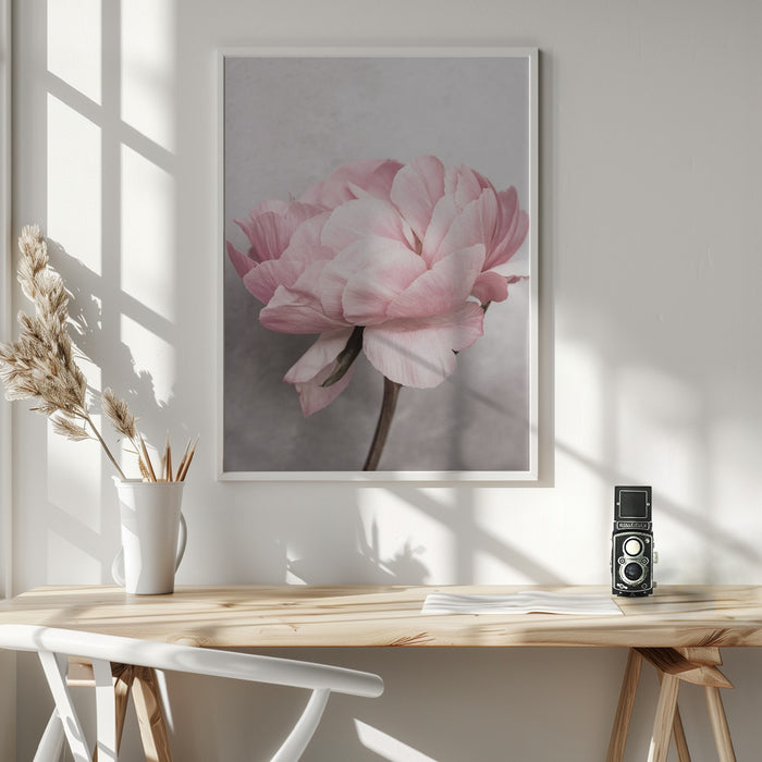 Peony Framed Art Wall Decor