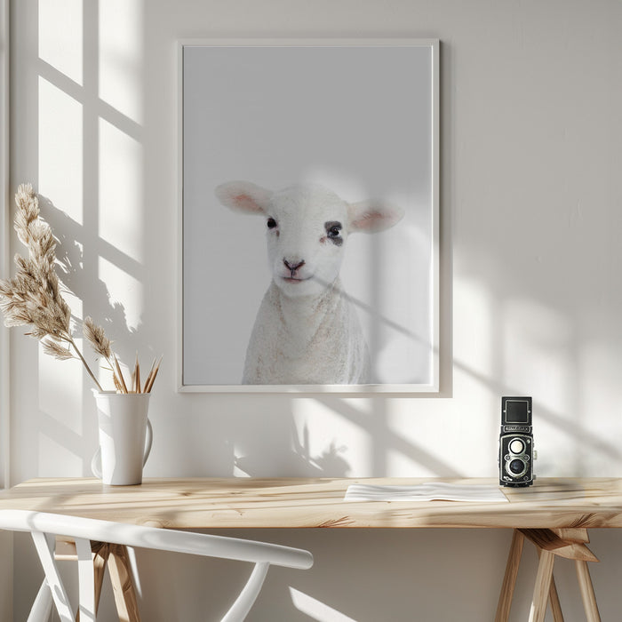 Baby Lamb Framed Art Modern Wall Decor