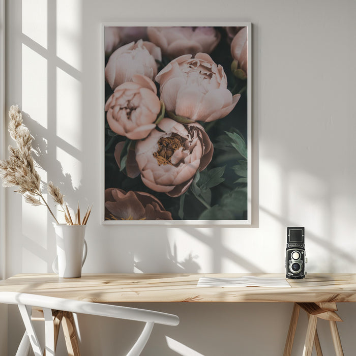 Coral Peonies Framed Art Modern Wall Decor