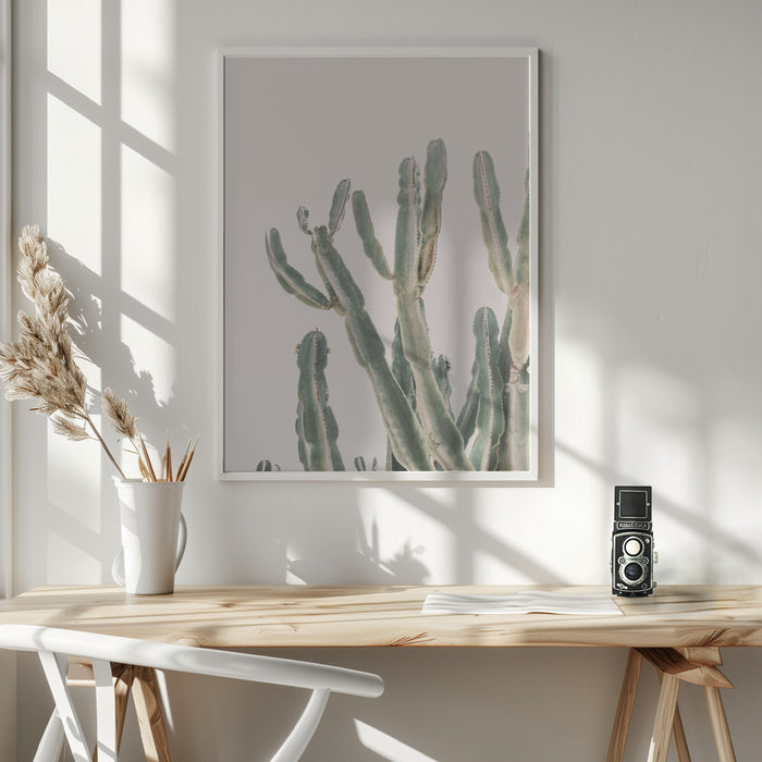 Sunrise Cactus Framed Art Modern Wall Decor