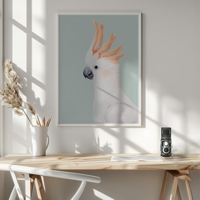 Cockatoo Framed Art Wall Decor