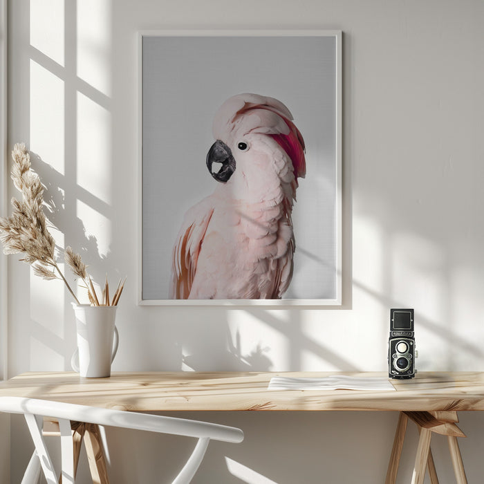 Pink Cockatoo Framed Art Wall Decor