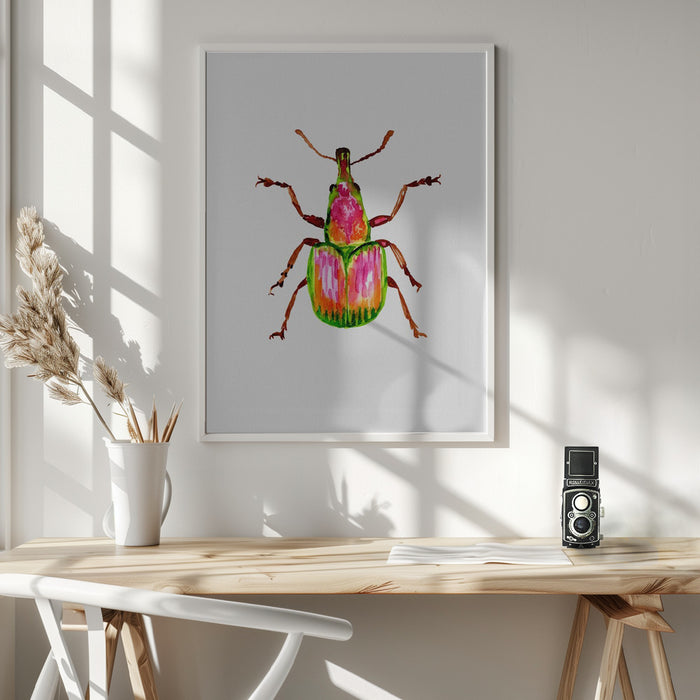 Apricot weevil or Epirhynchites auratus Framed Art Modern Wall Decor